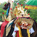  "Barong" wird zu einem Tempel getragen 