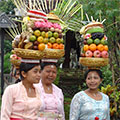  Bali-Frauen mit Opfergaben 