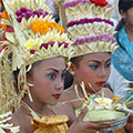 Tempeltänzerinnen bei einer Dorftempelzeremonie 