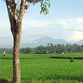  Blick am Morgen auf die Batu Karu Vulkankette 